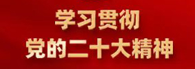 学习贯彻党的二十大精神