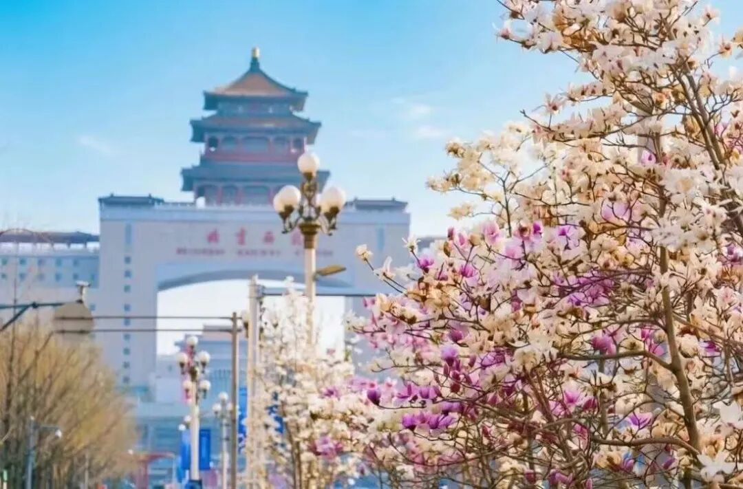 花期如约至 美景在眼前 | 北京“八站两场”春日大片上线，快来打卡