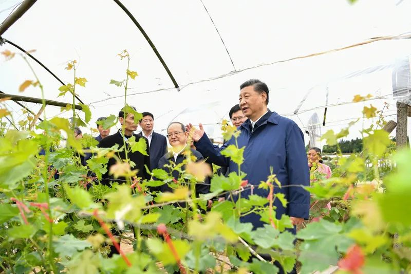 4月25日至27日，中共中央总书记、国家主席、中央军委主席习近平在广西考察。这是25日上午，习近平在桂林市全州县才湾镇毛竹山村考察。