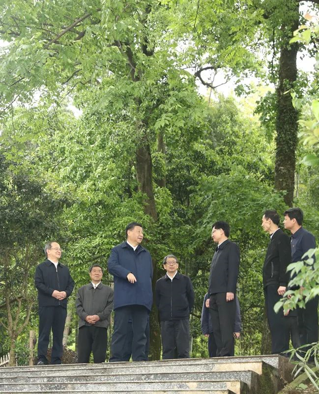 4月25日至27日，中共中央总书记、国家主席、中央军委主席习近平在广西考察。这是25日上午，习近平在桂林市全州县才湾镇毛竹山村考察。