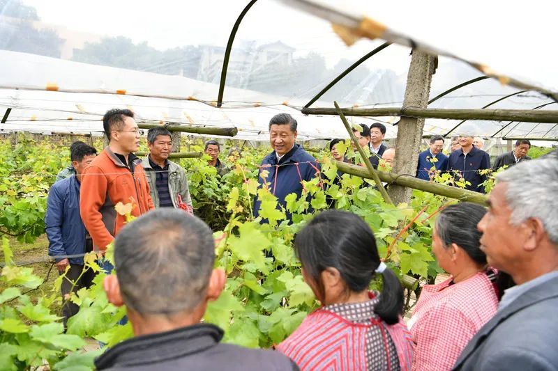 4月25日至27日，中共中央总书记、国家主席、中央军委主席习近平在广西考察。这是25日上午，习近平在桂林市全州县才湾镇毛竹山村，走进葡萄种植园，同农技人员和村民亲切交流。